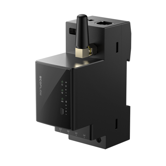 EcoFlow Smart Meter BKW